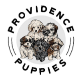 Providence Puppies
